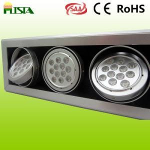 3 Head 3*12W Ceiling Light for Ceiling (ST-DD-3*12W)