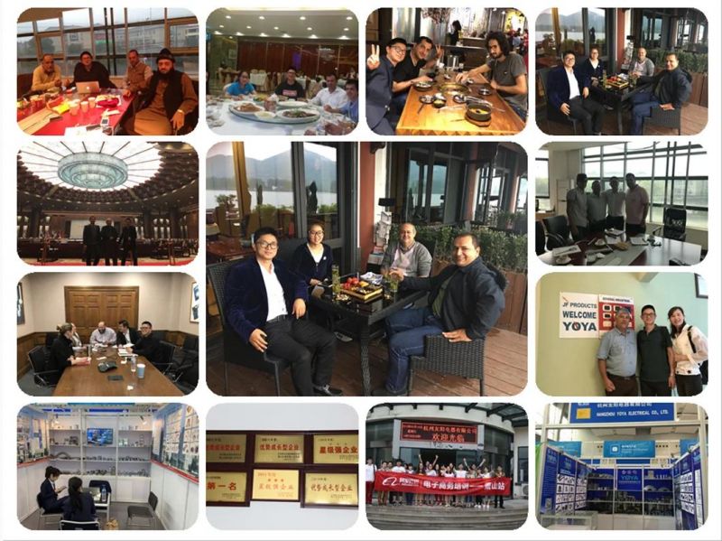 Hangzhou Yoya Factory Price Wholesale LED Light Bulb