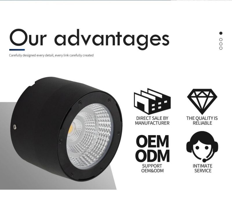 Good Quality 20W 30W 40W 50W LED Down Light Aluminum COB LED Downlight