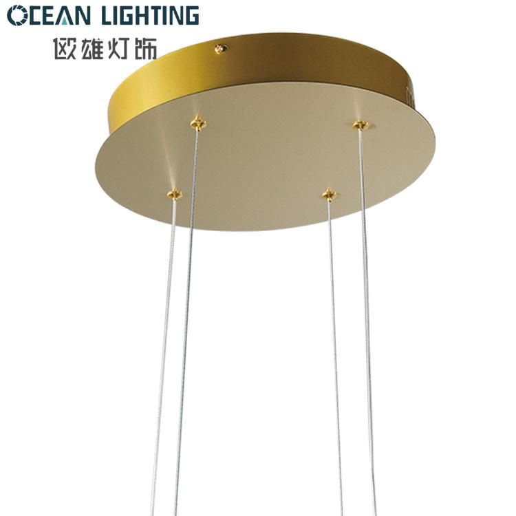 Luxury Creative Indoor LED Hanging Pendant Lamp Lighting Fixture