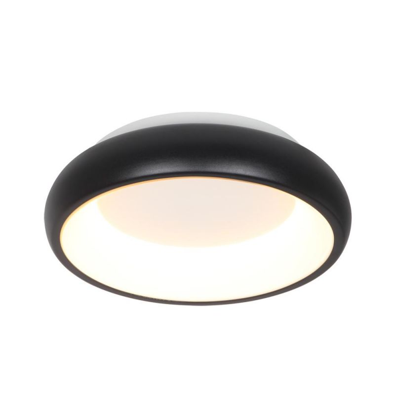 Masivel Factory Indoor Decorative LED Ceiling Light Modern Round Acrylic Cover Brass Ceiling Light with CE RoHS