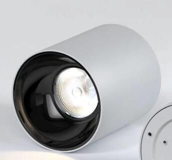 Aluminium Surface Mounted Ceiling Downlight Waterproof IP65 LED COB Downlight