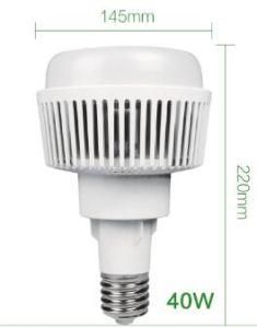 40W 60W 80W LED High Power Bulb with Ce RoHS