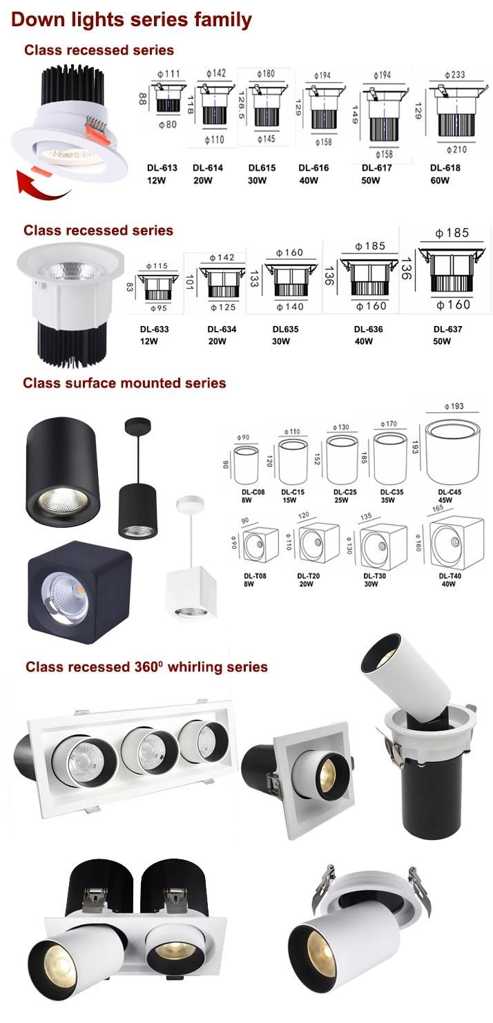 Aluminum TUV Standand IP44 20 30 Watt SMD COB Recessed LED Down Light Housing