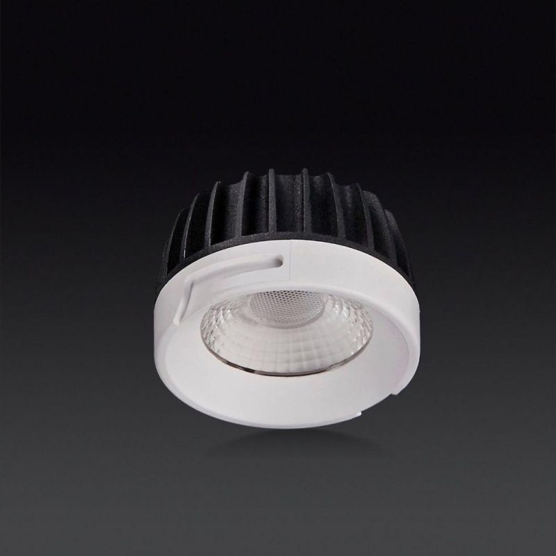 Economic Module Manufacturer COB LED 6W/10W/15W Frames Changeable LED Downlight