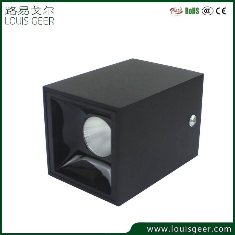 Outdoor Aluminum Downlight Square Ceiling LED Surface Mounted Downlight 25W