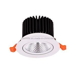 40W IP44 Morden Style Black/White Optionel LED Downlight for Commercial Place, Office Building