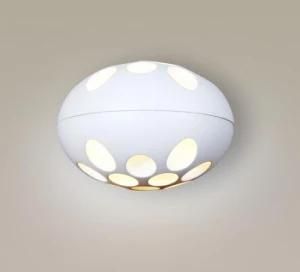 Painting Finish White Ball Wall Spot Light LED Spot