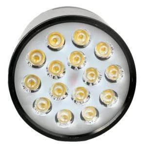 Hotel LED Spotlight Down Light for Project with Multiple Lighting Effect Multiple Watts