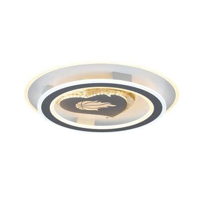 Dafangzhou 172W Light LED Ceiling Lights China Factory 12V LED Ceiling Lights 10years Warranty Period LED Ceiling Light for Home