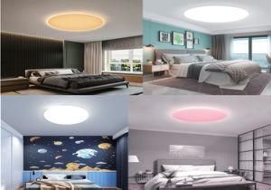 Ambient Light 2021 Newly Developed Smart Circular Ceiling Light