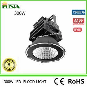 300W CREE Chip LED Flood Light for Square and Construction Lighting