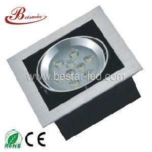 CE RoHS LED Gall Light (BSD-DD-0901A-9W)