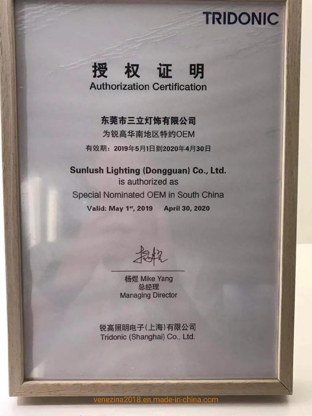 R6962 Modern Style Cobled 6W/10W/15W Available LED Spotlight