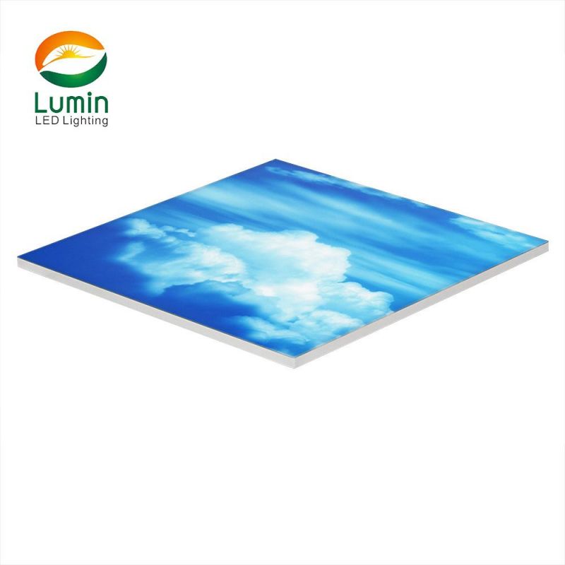 Customized Frameless Skylight LED Panel Light for Indoor Decoration