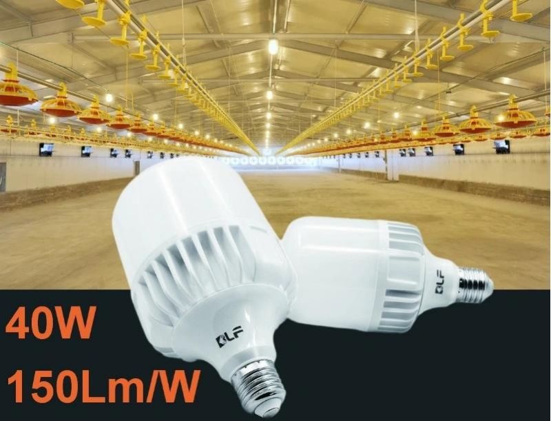 LED T Shape Bulb T80 18W 1620lm E27/B22 PF0.5 6500K Color Temperature