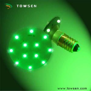 E14 Amusement &amp; Fair Light (16LEDs)