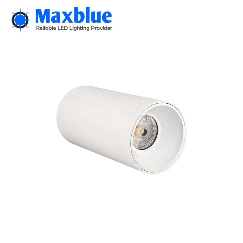 Indoor Lighting Anti-Glare Dimming COB LED Surface Mounted Downlights