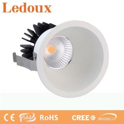 New Design LED Spot Light Downlight 1*10W