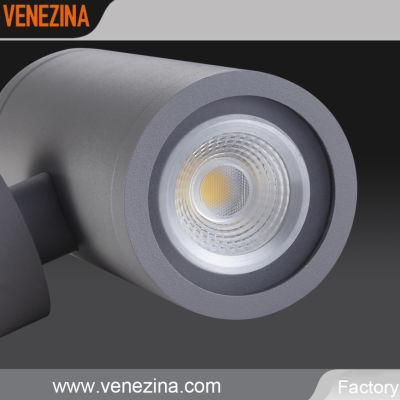 Exterior High Efficiency Tube LED Wall Light-E6029