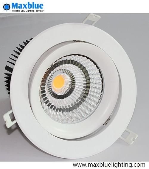 30W CREE COB LED Ceiling Downlight with Meanwell Driver