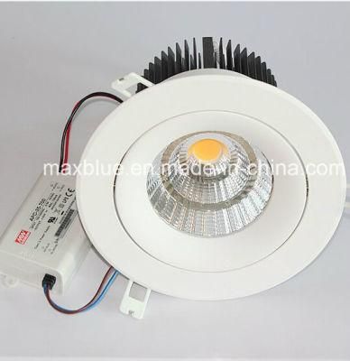 30W CREE COB LED Ceiling Downlight with Meanwell Driver