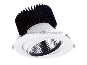 15W 20W 30W Ww/Nw/Cw Aluminium Alloy Body CREE COB LED Spot Light Long Life 50000 Hours for Hotels, Shopping Malls