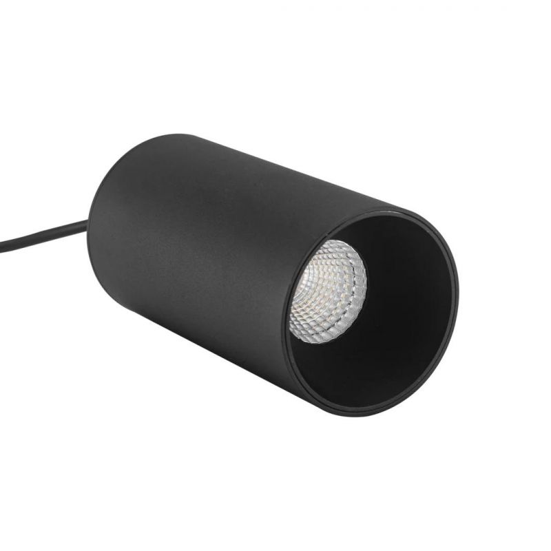 Energy Saving LED Interior Lighting 18W Pendant Lamp for Livingroom IP20