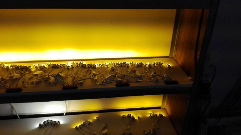 1W 15mm LED Kitchen Dining Spot Light 110V 220V