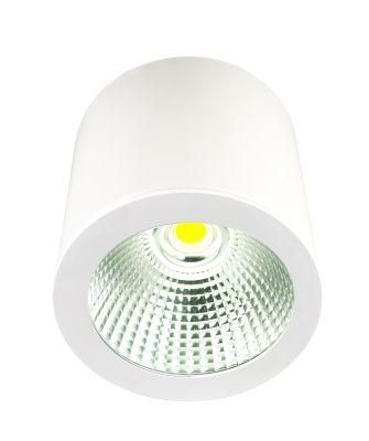 Dali Triac 0-10V Dimming LED Surface Mounting Downlight LED Ceiling Light LED Spot Light LED Light