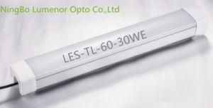 30W 60cm IP65 SMD LED Tube Light High Warraty High Lumen LED Tube LED Lights LED Tri-Proof Lamp for Outdor Street with CE (LES-TL-120-60WE)