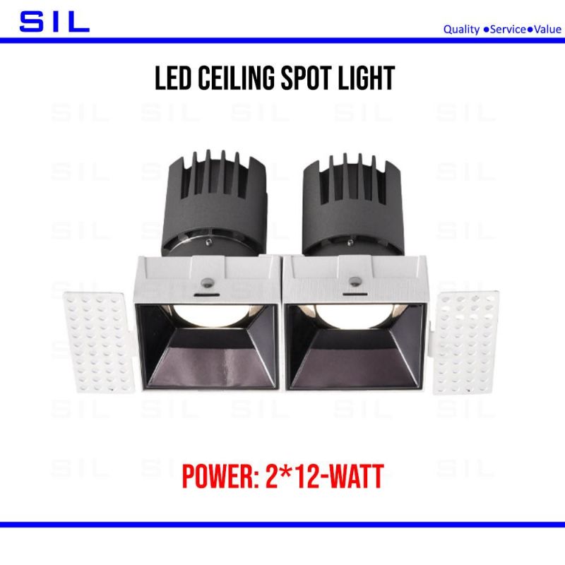 LED Spot Light Direct Factory Selling COB LED Downlight 2X20W 40W Embedded Recessed Spot Light