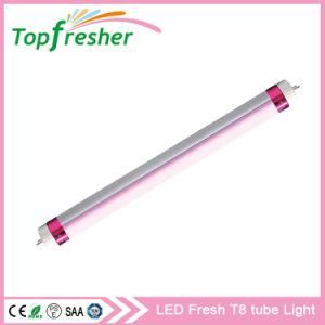 Hot Sale Meat Display Lighting T8 Pink LED Tube Lamps