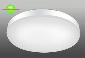 Waterproof LED Downlight / Panel Light/Ceiling Light /Lamp (IP44, 100-240V (MS-C120-22W)
