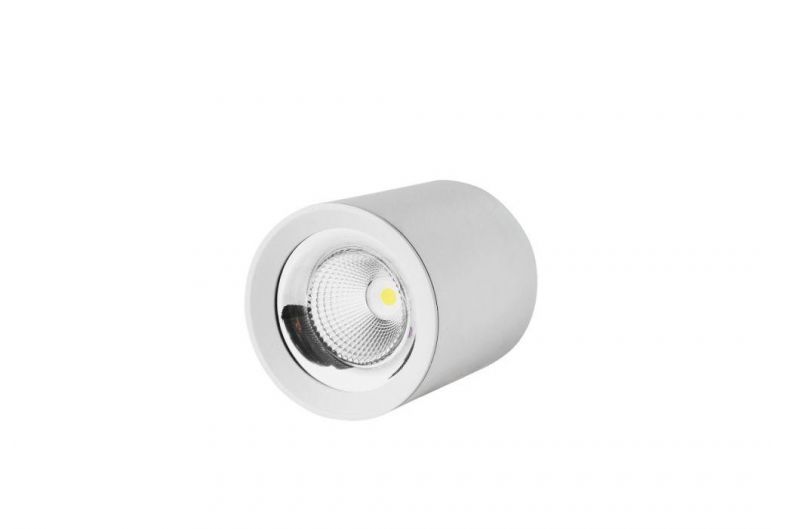 Hot Sale LED CREE Chip 15W Downlight for Living Room RoHS Ce