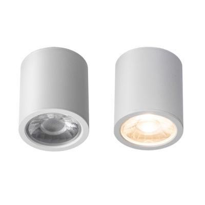 Surface Mounting LED Light Lamp 8W COB Ceiling Spotlight for Interior Decor Lighting