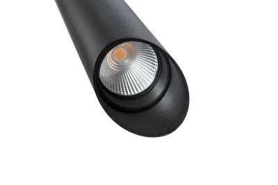 LED Lights 30W Pendant Lamp for Living Room Counter Ce EMC
