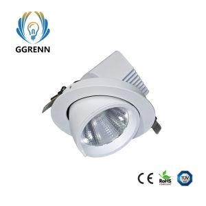Ce RoHS Super 33W LED Down Light LED Wholesale LED Recessed Scoop Shop Light IP54