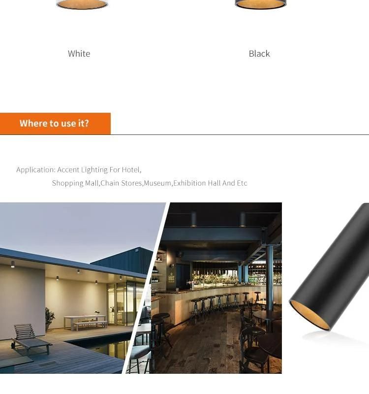 Indoor Dimmable COB LED Modern Ceiling Light
