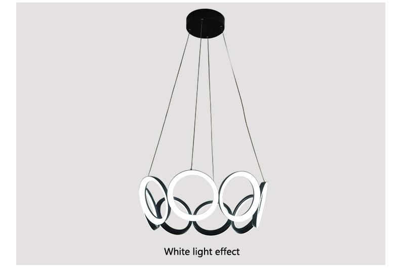 Hot Selling Indoor Modern Acrylic LED Lighting Circular Ceiling Lamp Stylish Simplicity