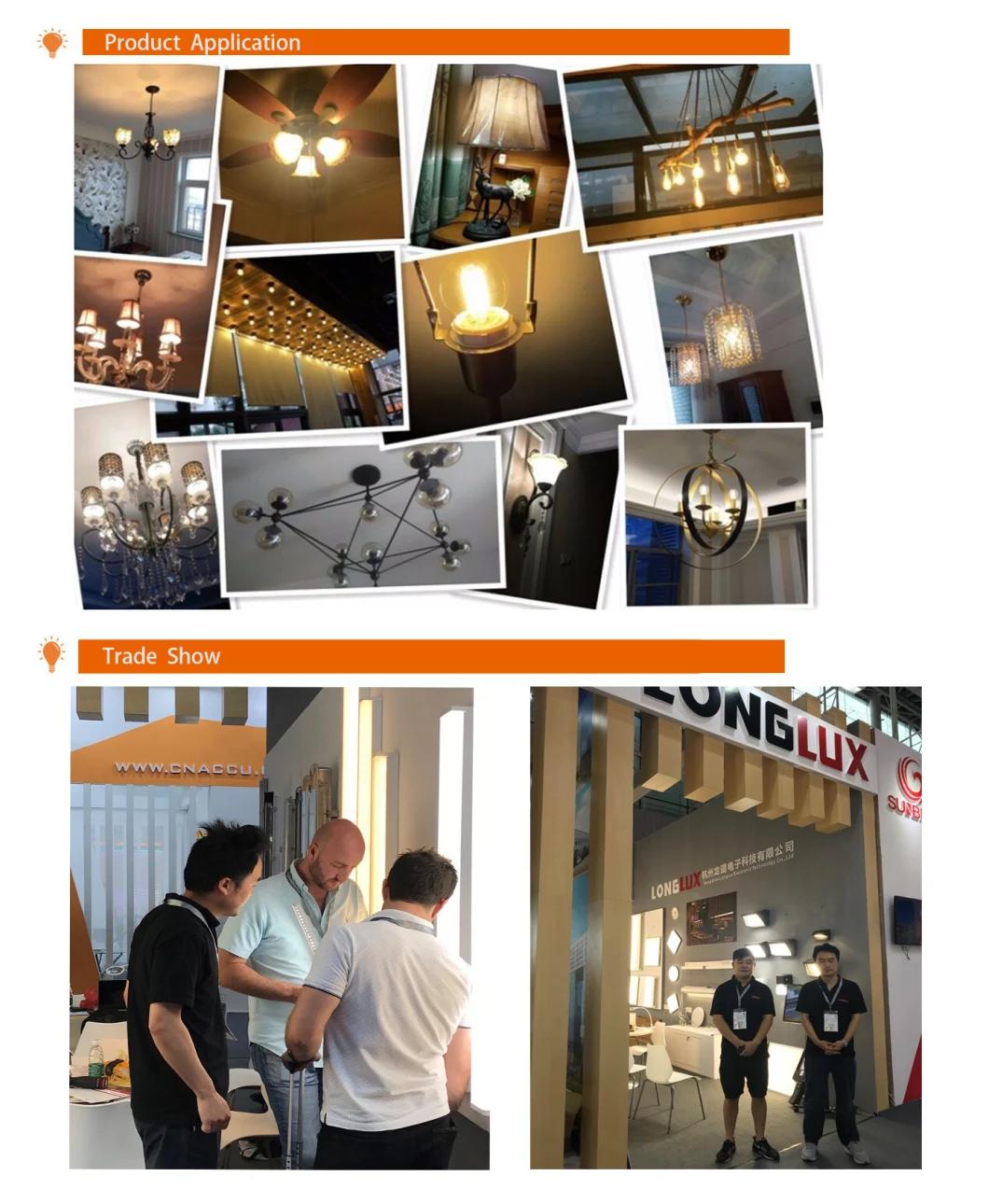 P45 2.5W LED Filament Bulb Lights with Ce E27