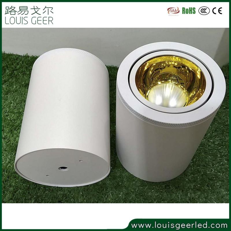 Contemporary IP65 LED Lamps Beam Angle Adjustable Recessed Cabinet Surface Mounted 15W COB LED Downlight