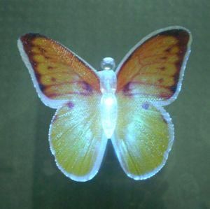 Colour Changing LED Wings Butterfly Decoration