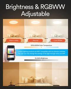 Smart Ceiling Lights 30W Round Smart Ceiling Light WiFi APP Control Compatible with Alexa &amp; Google Home