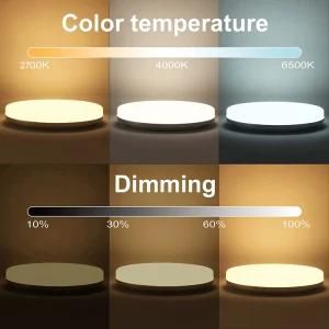 WiFi + Bl LED Smart Ceiling Light Google Home RGB Color Changing and 2700K-6500K Color Temperature Selectable