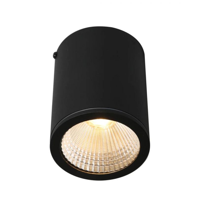 Aluminum Outdoor Ceiling Spotlight LED 12W COB Down Light Waterproof LED Ceiling Light