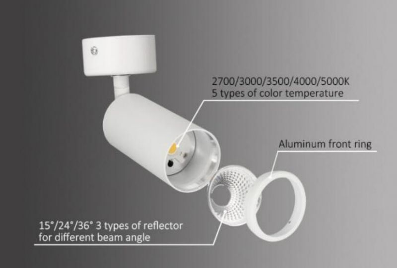 6W/10W Surface Mount Ceiling Spot LED Light