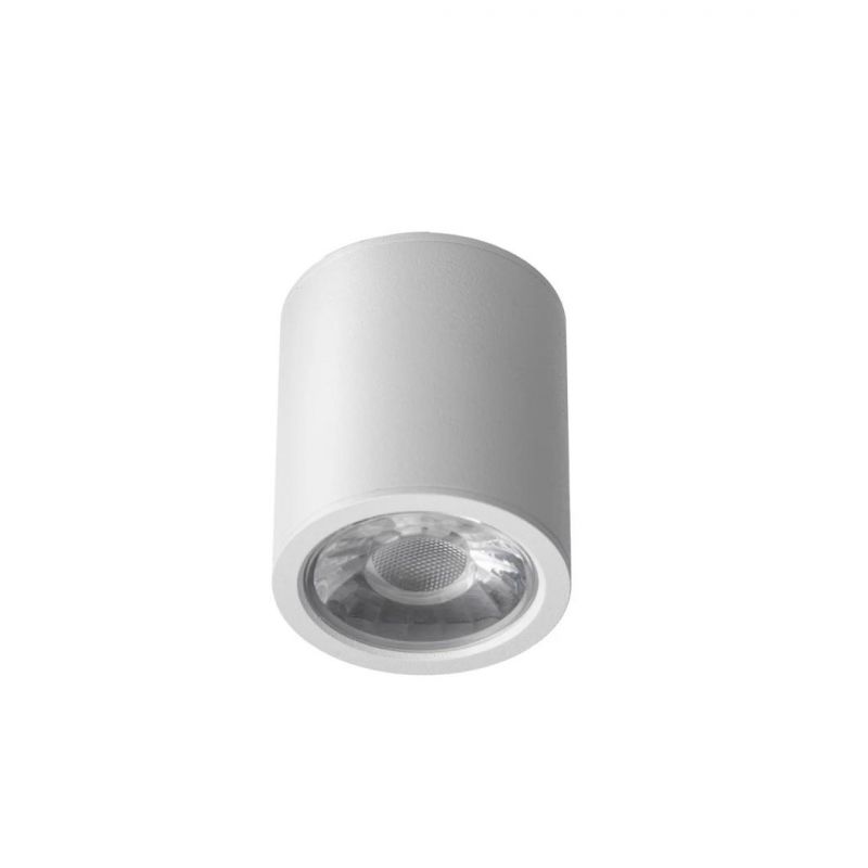 Building Project Ce RoHS Commercial LED Ceiling Light IP20 COB Spot Light Samll 8watt Indoor Lighting