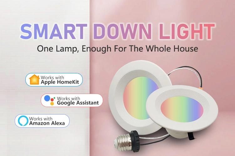 4inch/6inch Round 10W Tuya RGB WiFi Smart RGB Down Light