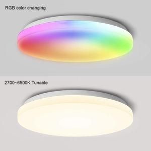 Smart APP Control Music Smart Life Ceiling Light Fixtures with Bluetooth WiFi RGB 30W for Home Hotel Decoration